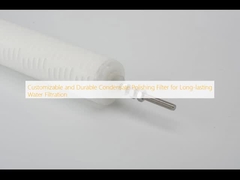 দীর্ঘস্থায়ী জল পরিস্রাবণের জন্য কাস্টমাইজযোগ্য এবং টেকসই ঘনীভবন পলিশিং ফিল্টার