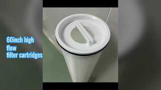 60 ইঞ্চি উচ্চ প্রবাহ ফিল্টার কার্তুজ