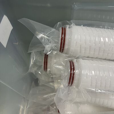 PBT Series All Polyester PET High Flow Filter Cartridge for Precision Filtration with 120°C High Temperature and 4 Bar Working Pressure