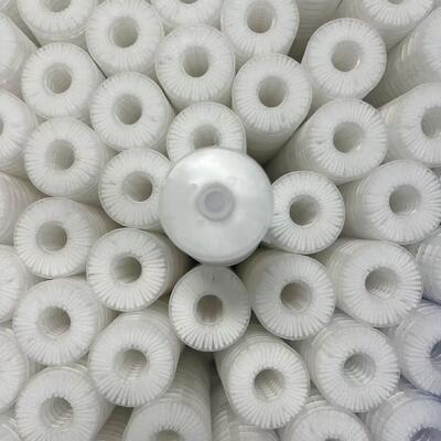 PP Capsule Filter for Water Treatment with Customizable Micron, Standard NPT Interfaces and Polypropylene Construction